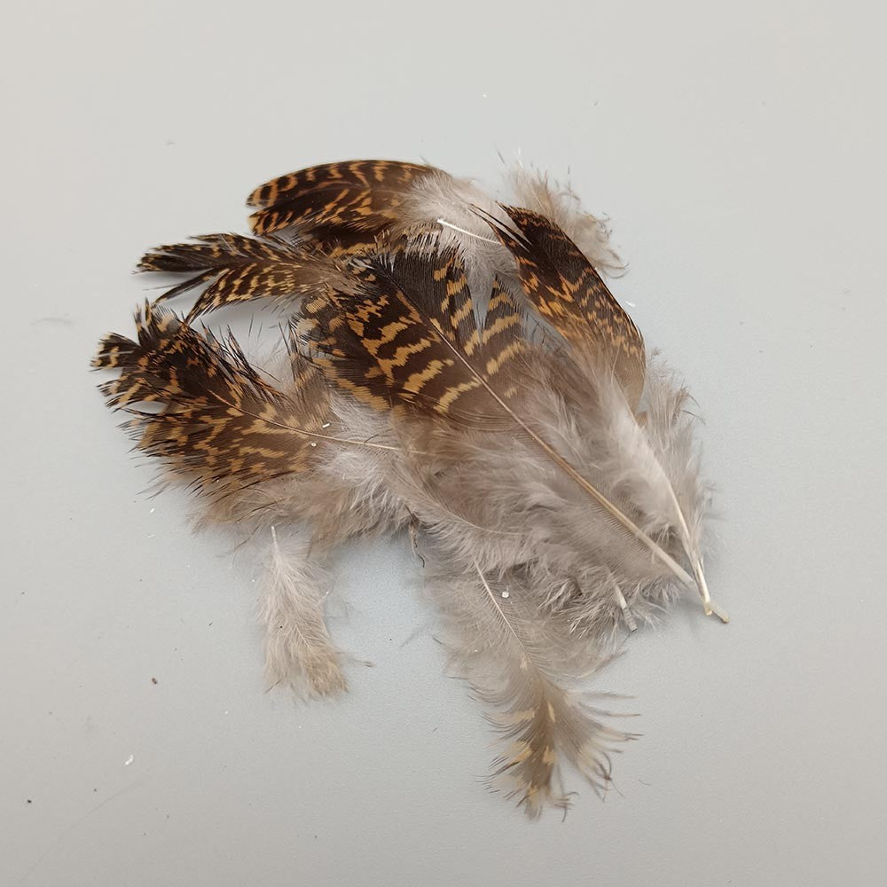 Woodcock Feathers – Beccaccia