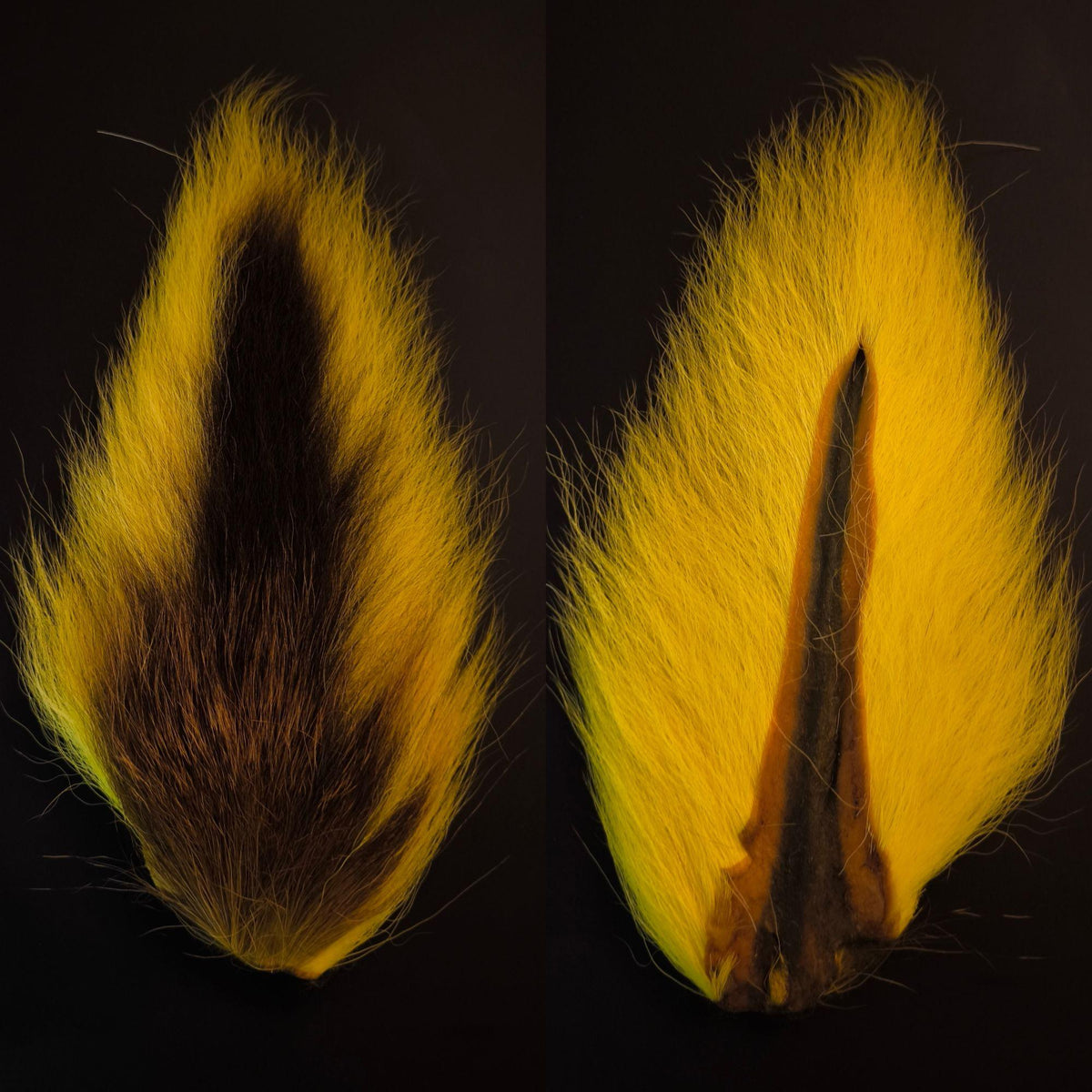 Bucktail_Whole_Large