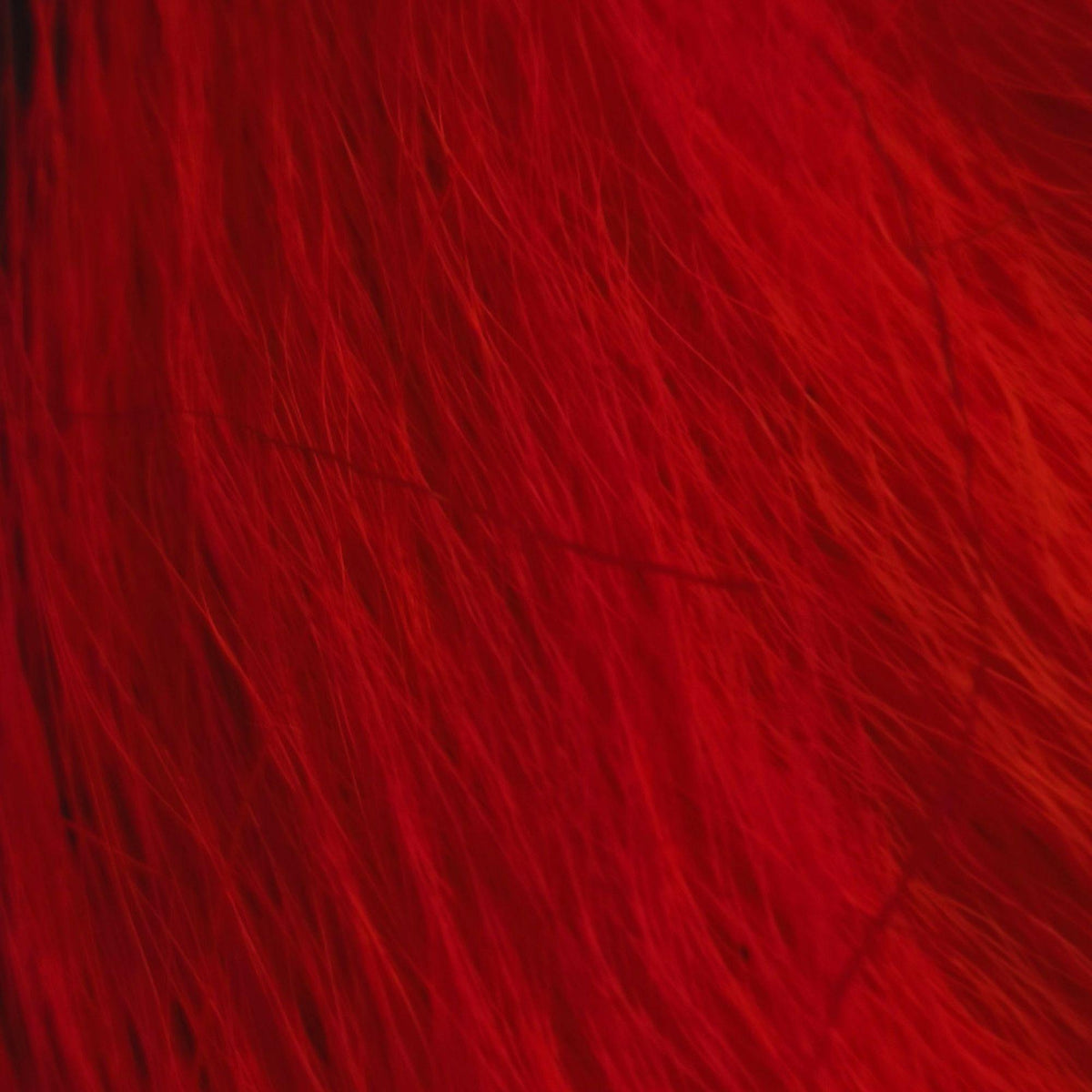 Bucktail_Whole_Large
