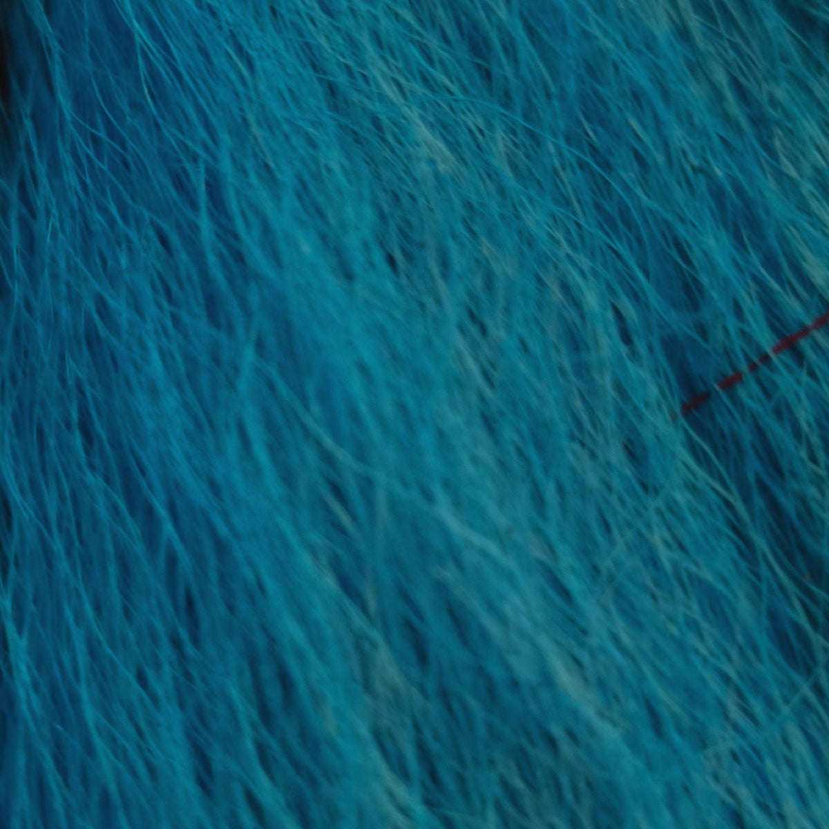 Bucktail_Whole_Large