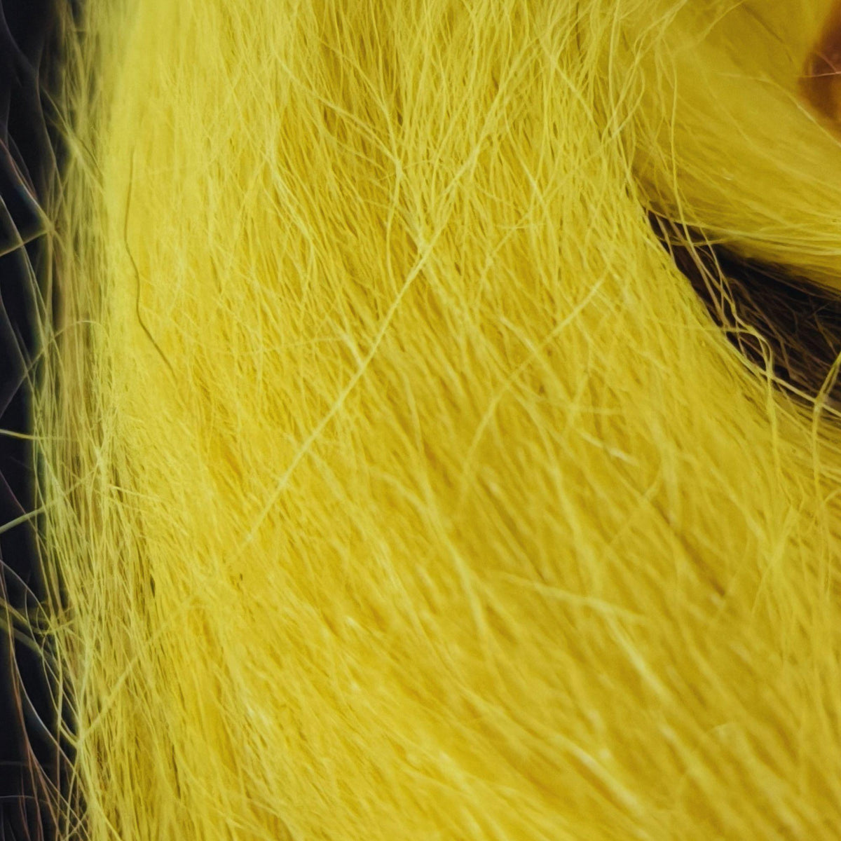 Bucktail_Whole_Large