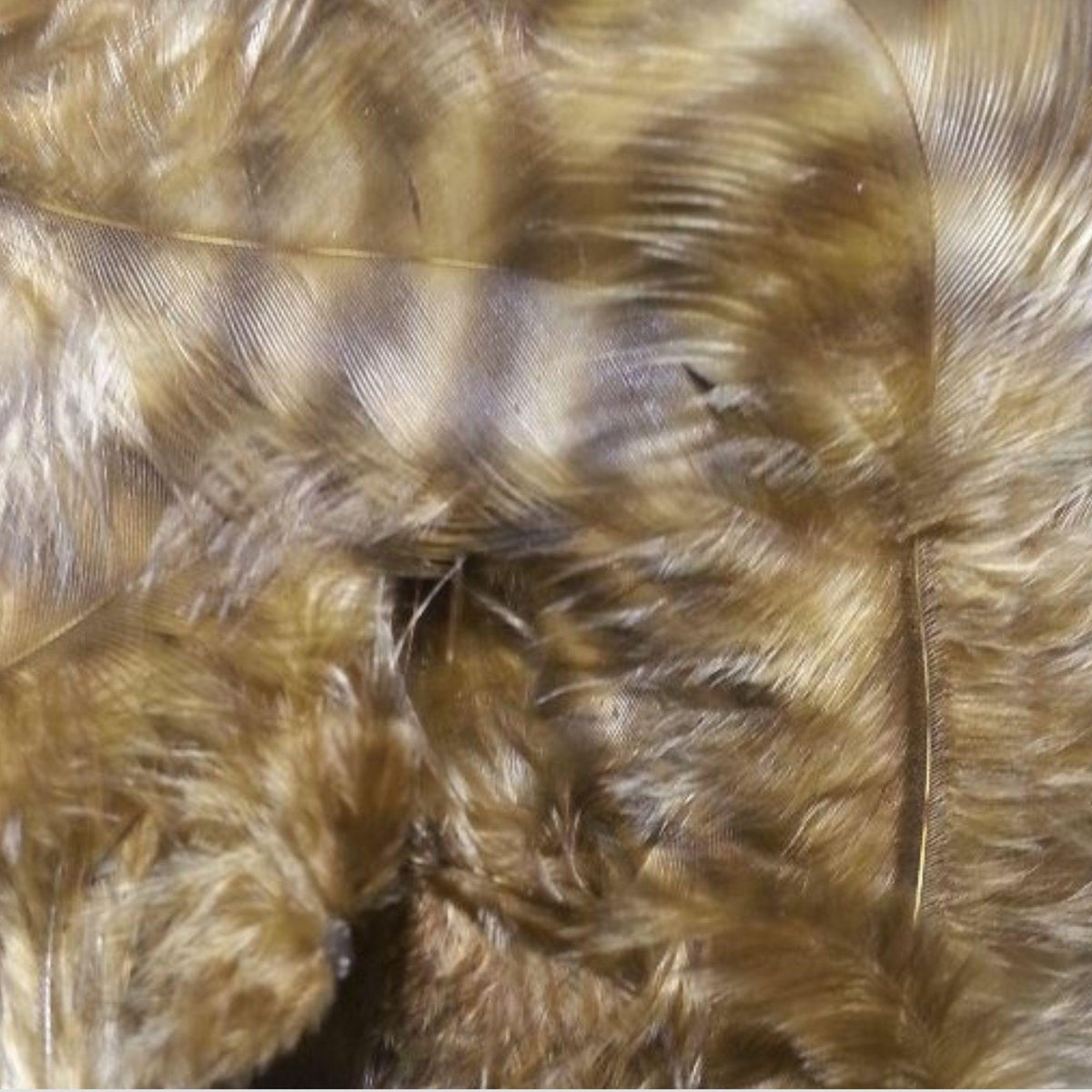 Grizzly_Matuka_Soft_Hackle