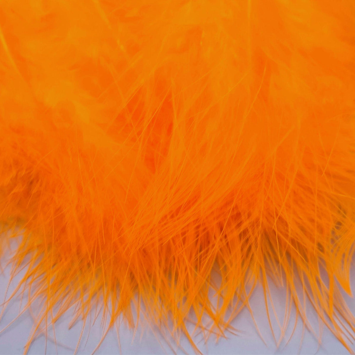 Marabou_EXTRA_SELECT