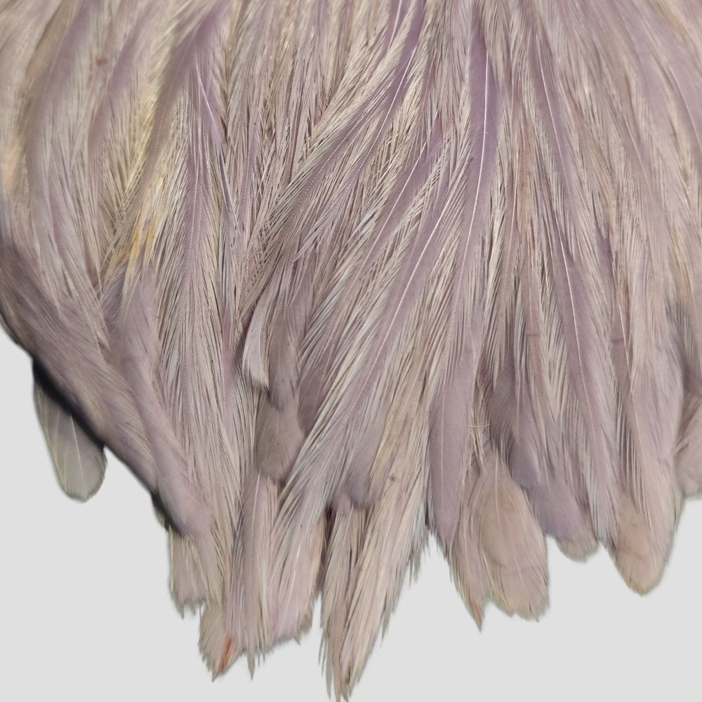 Collo di gallina Metz 1 - Cream