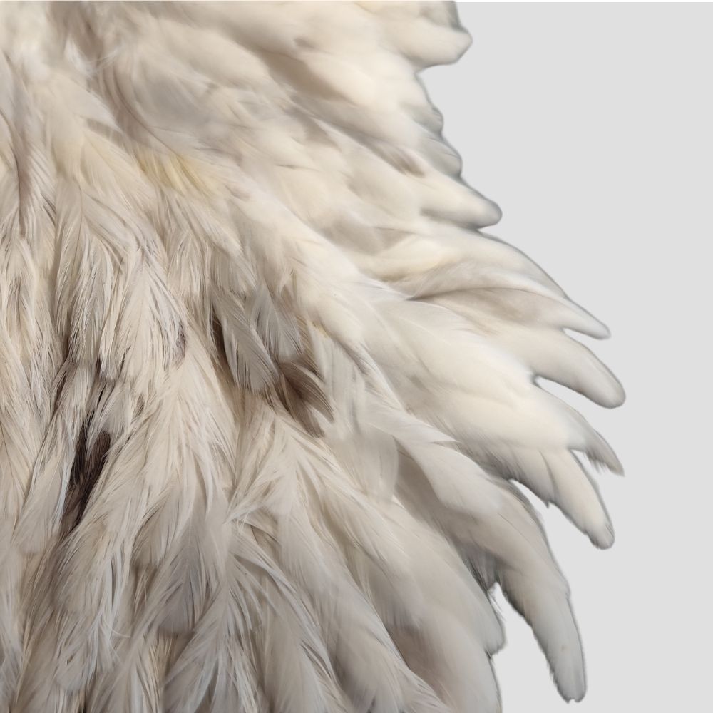 Spalla di gallina Metz #1 White Splash