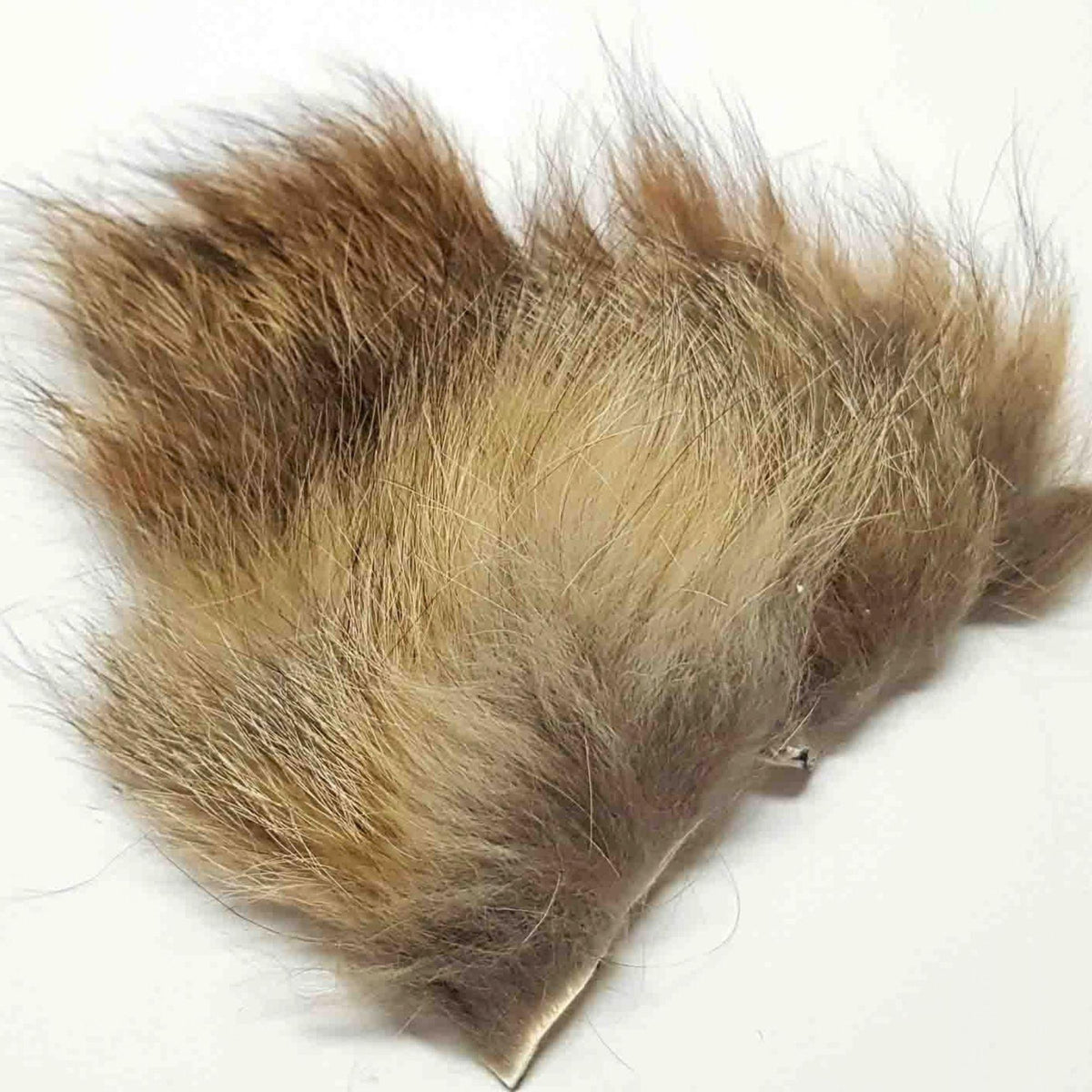 pelo_di_volpe