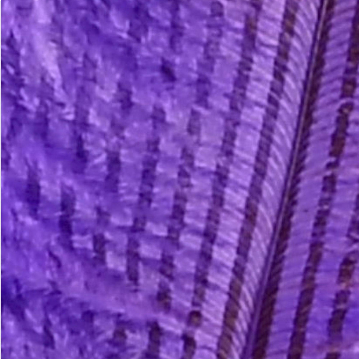 piuma_di_struzzo_barrata