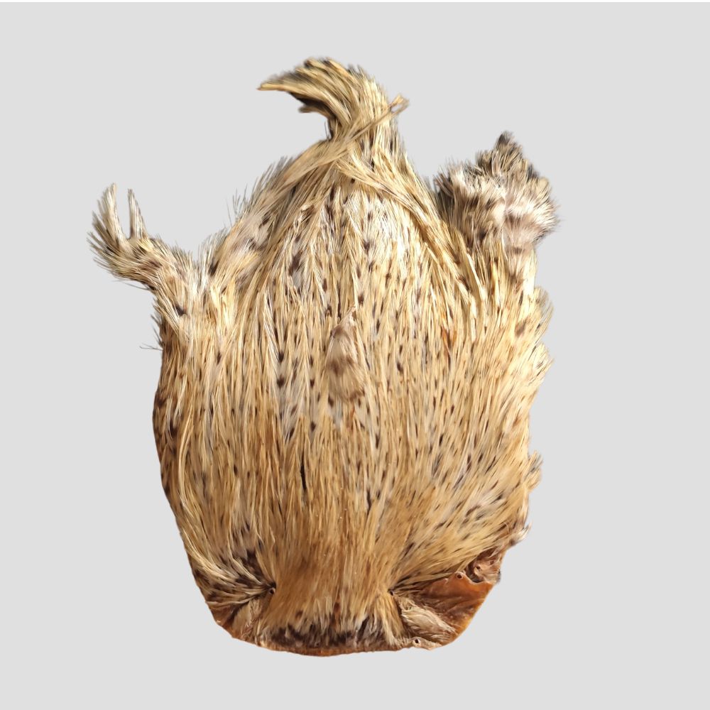 Collo di gallo indiano J.PARKER - natural cree