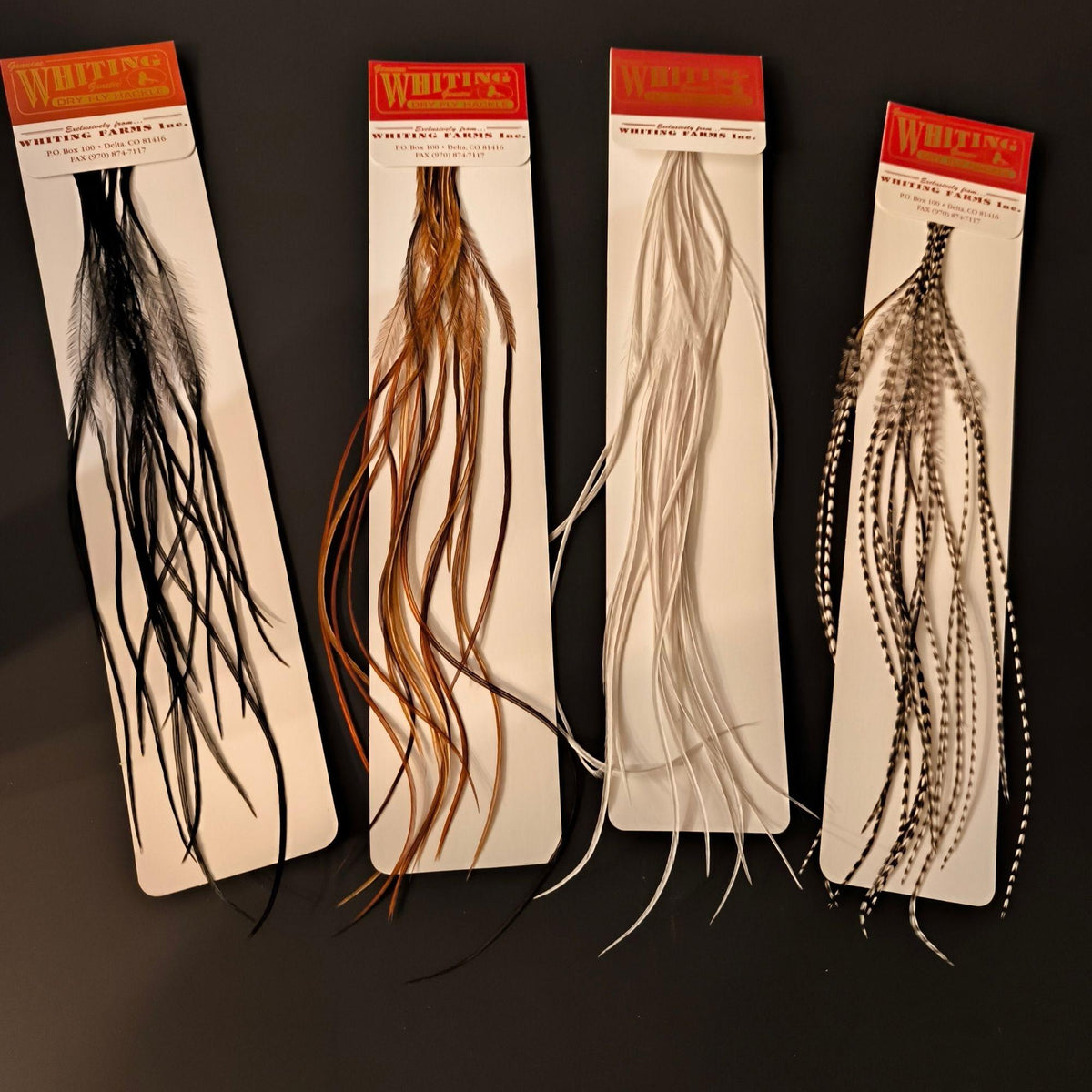 saddle_hackles_whiting_100_ack_16