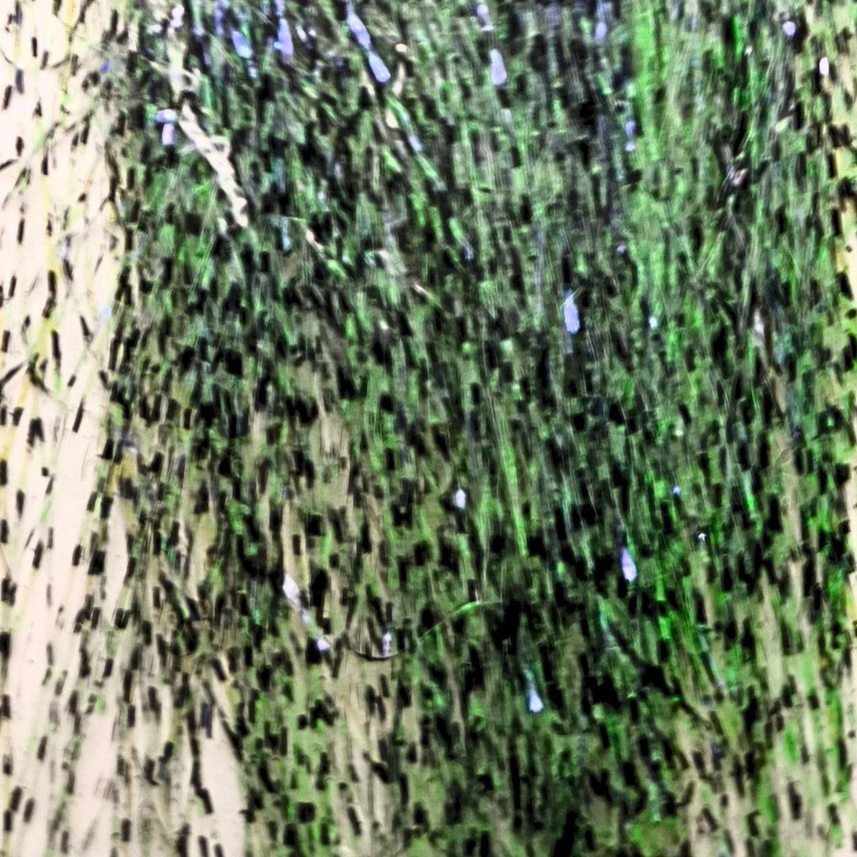 XX_Long_Fiber_5cm