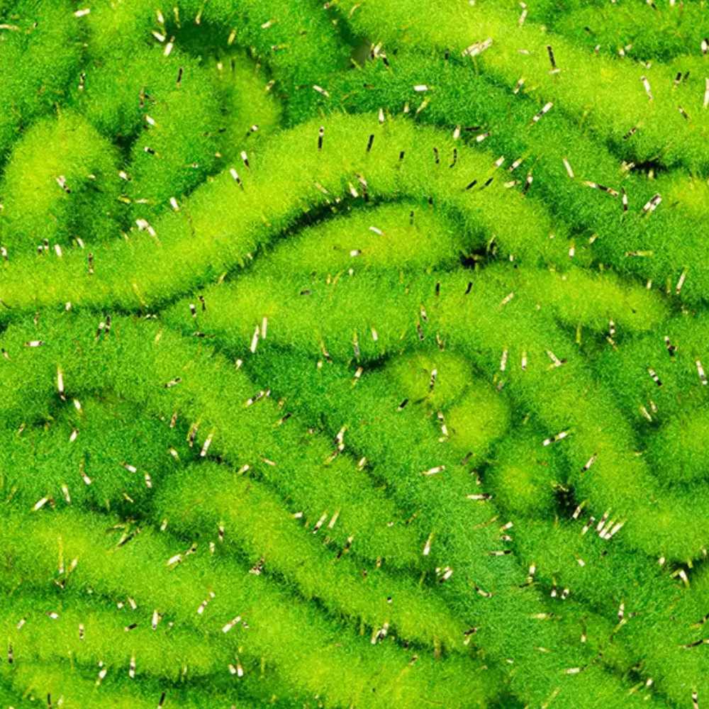 WORM CHENILLE PLUS GOLD hotfly - 3 mm