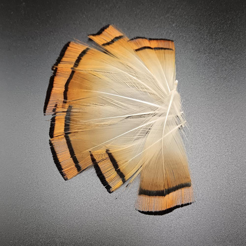 Golden Pheasant Tippets