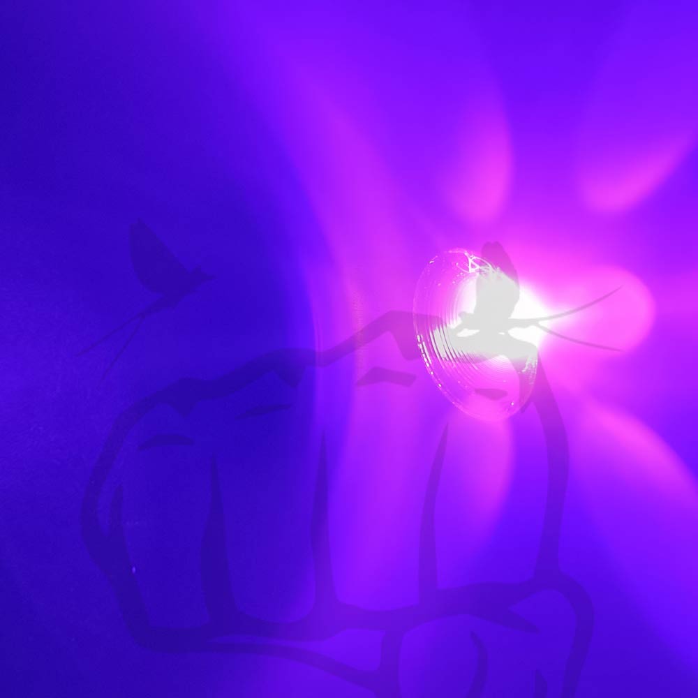 PRO LIGHT SET Lampada UV
