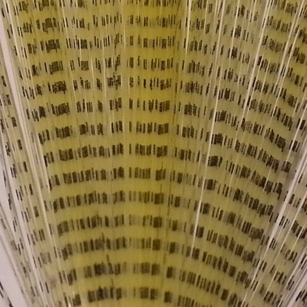Spinner Tails Barred