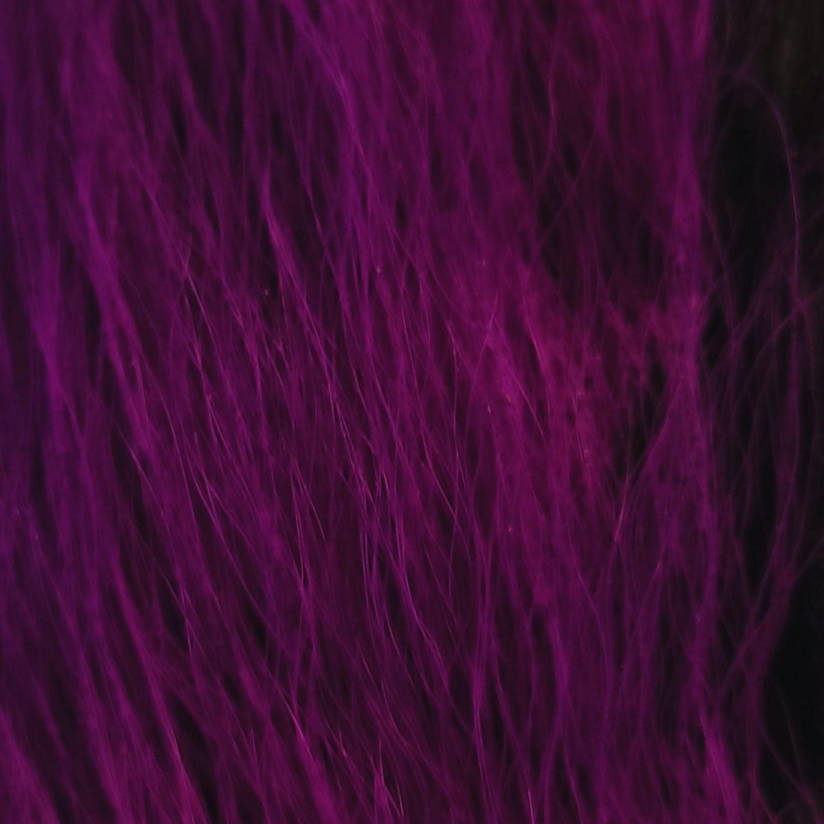 Bucktail_Whole_Large