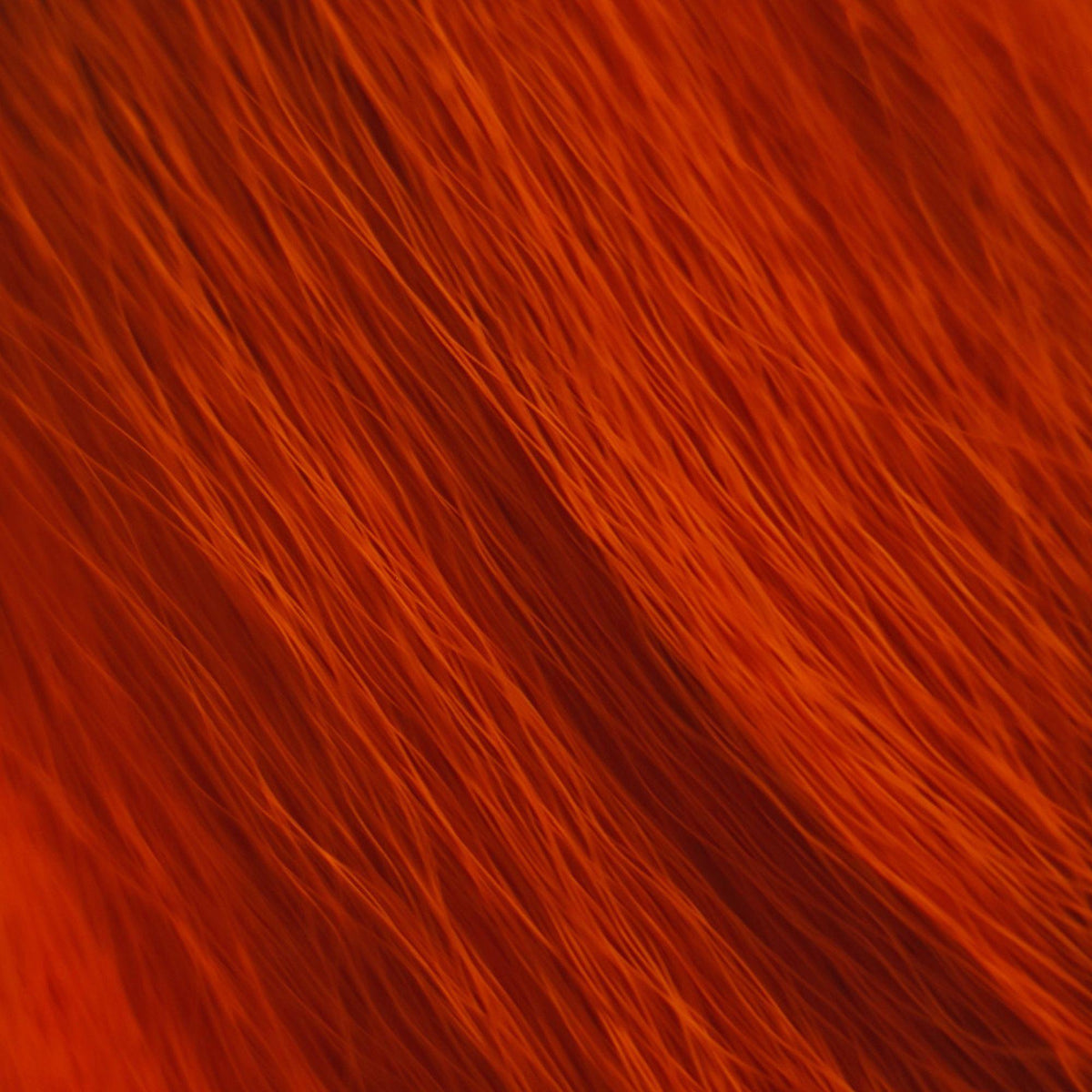 Bucktail_Whole_Large #colore_orange