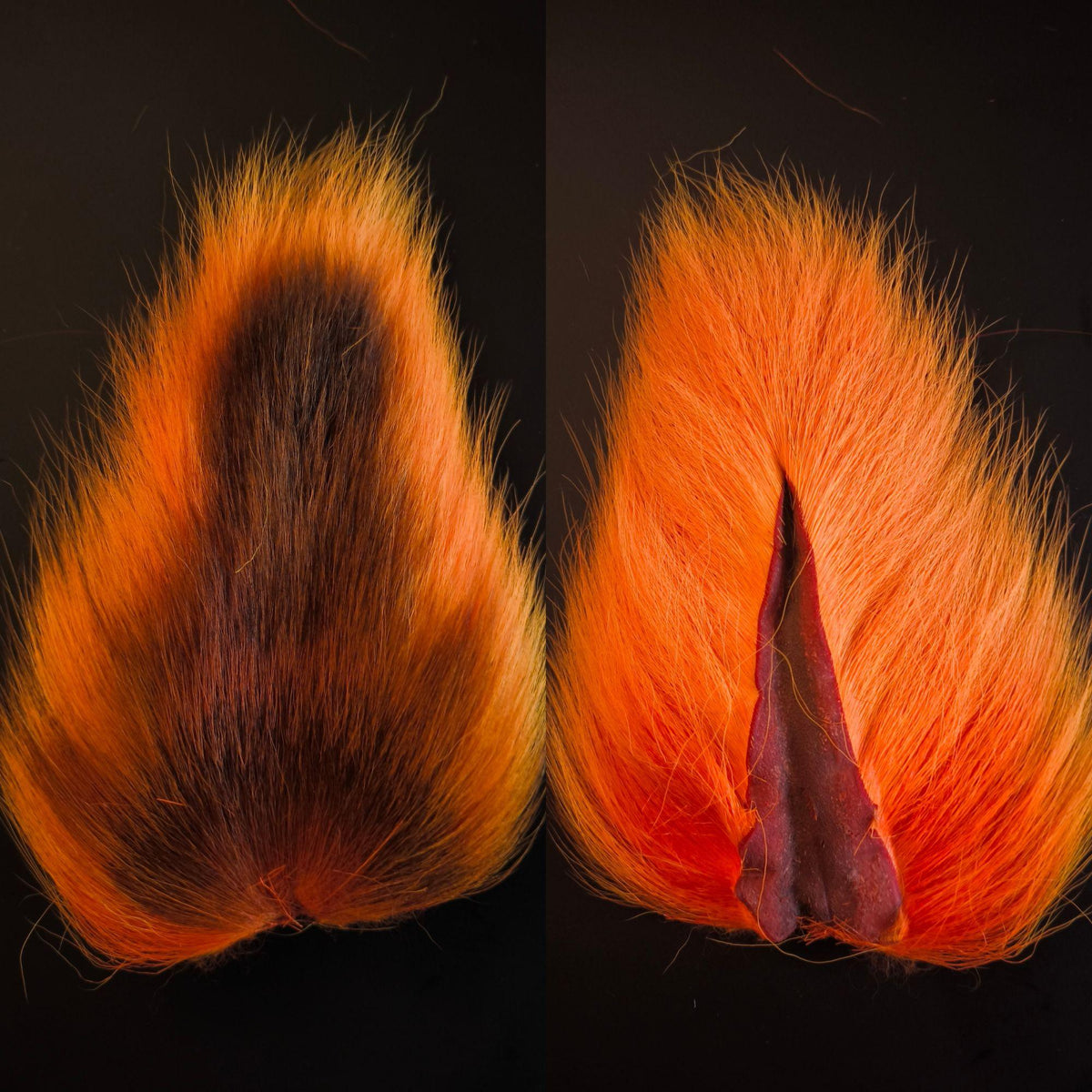 Bucktail_Whole_Large 
