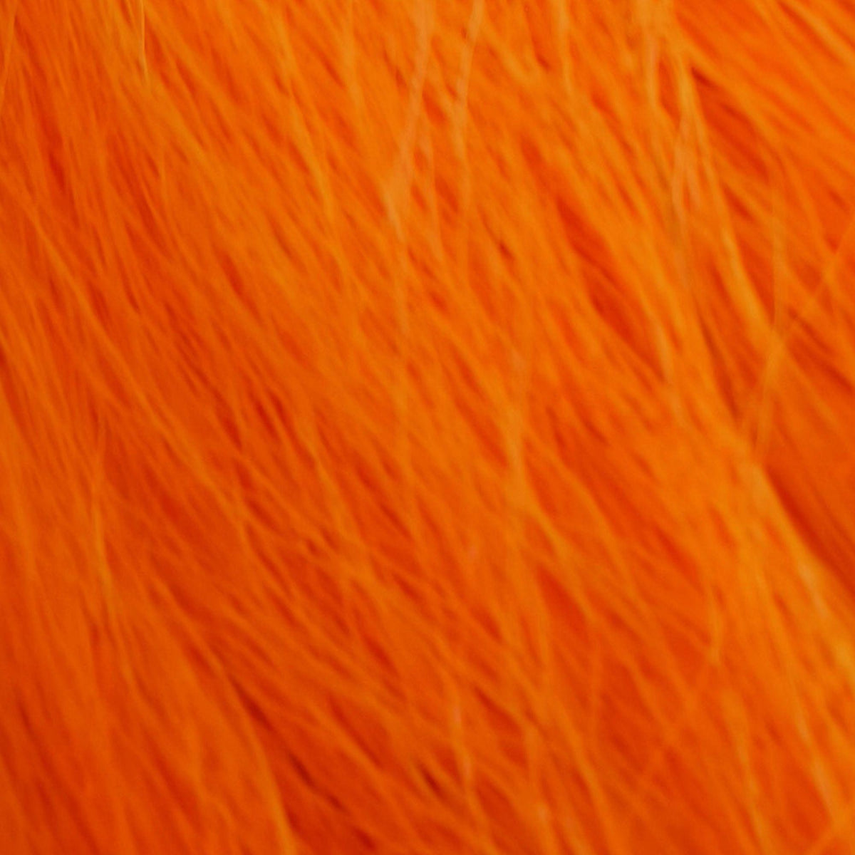 Bucktail_Whole_Large 
