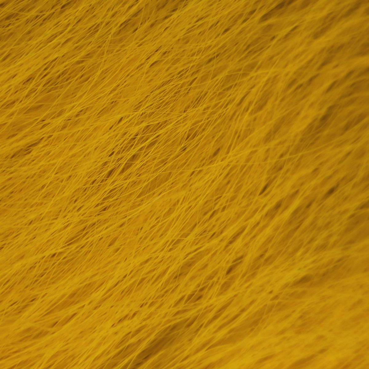 Bucktail_Whole_Large