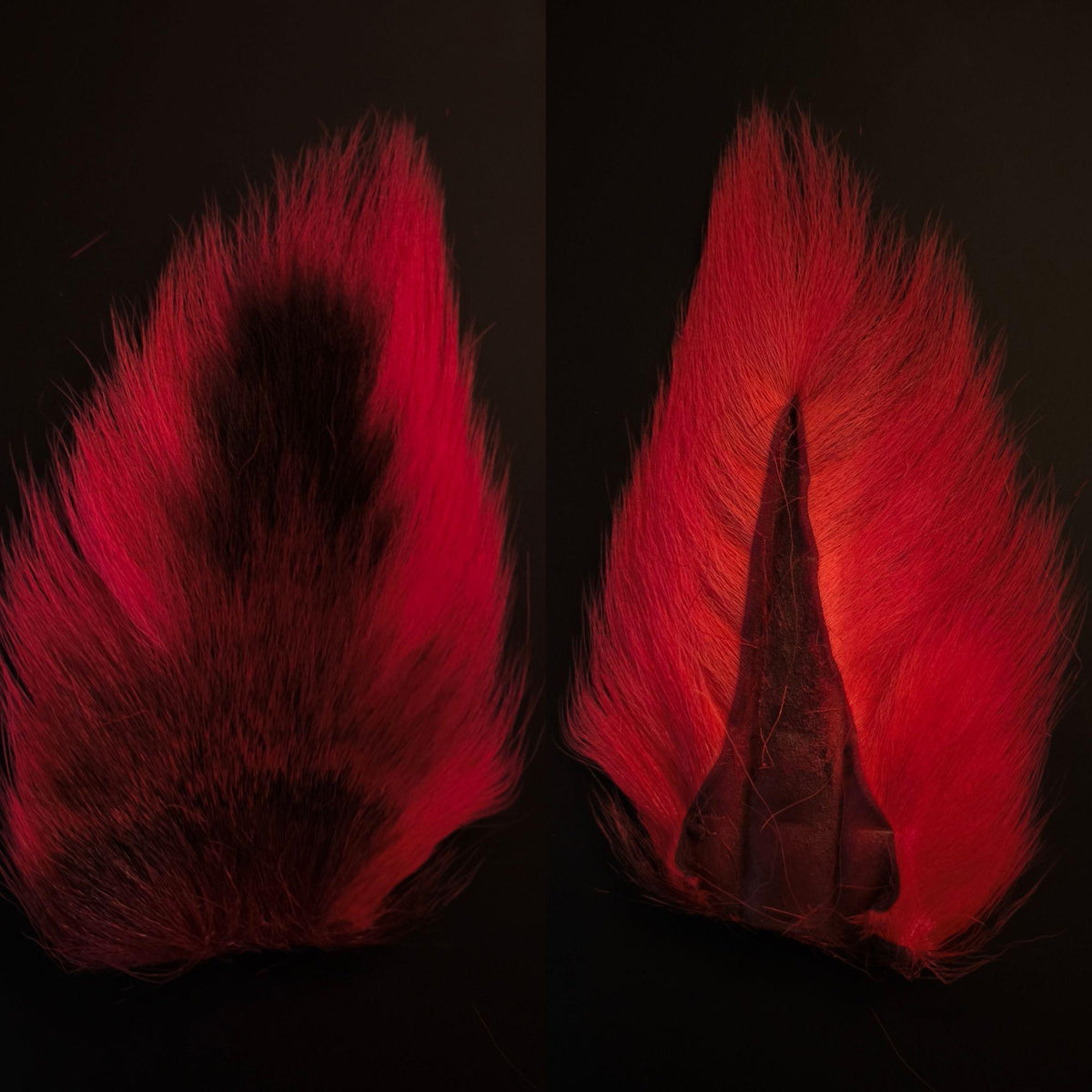 Bucktail_Whole_Large 