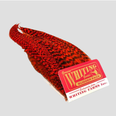 Bugger Pack Whiting Grizzly-Orange