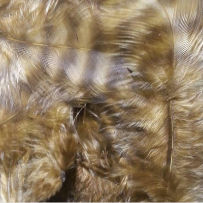 Grizzly_Matuka_Soft_Hackle