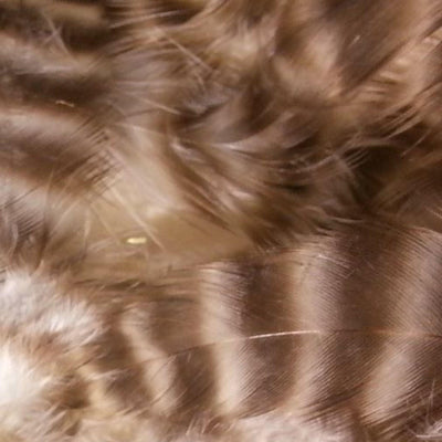 Grizzly_Matuka_Soft_Hackle