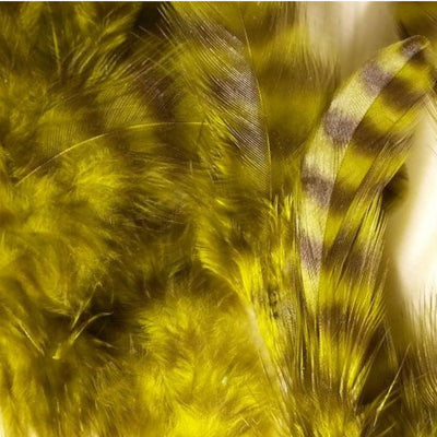 Grizzly_Matuka_Soft_Hackle