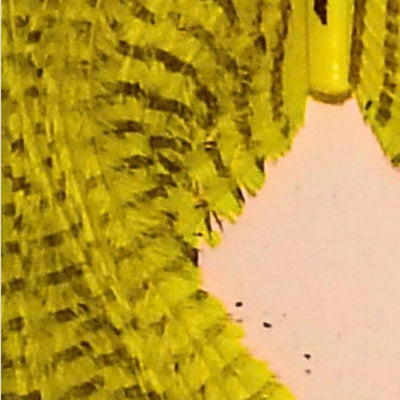 herls_di_struzzo_barrate