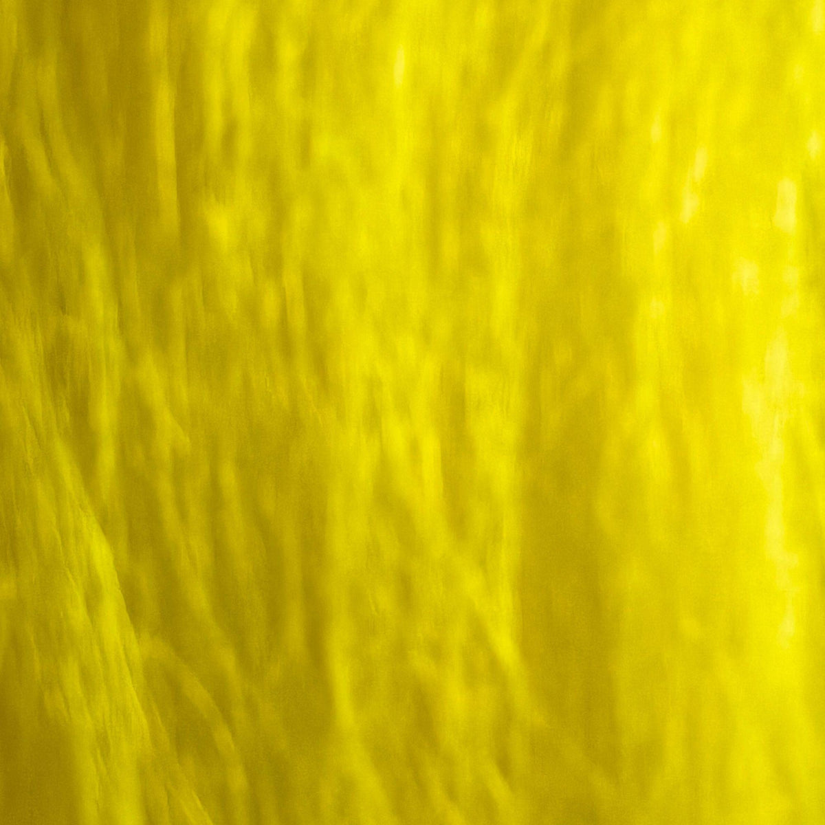 Icelandic_sheep_Hair