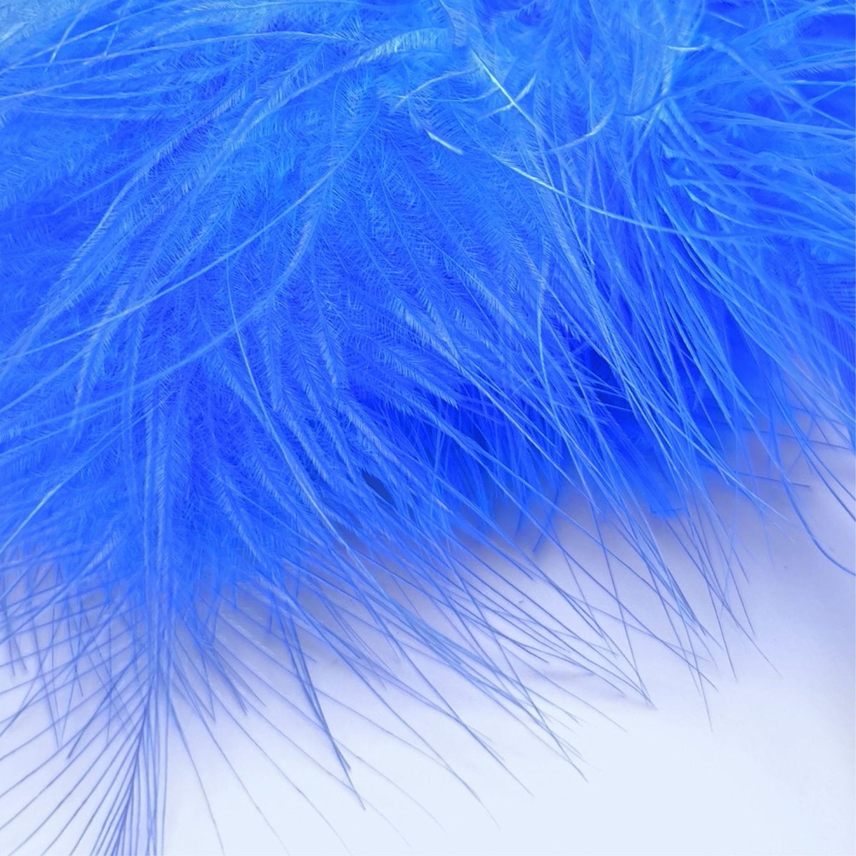 Marabou_EXTRA_SELECT
