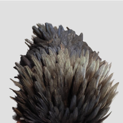 Spalla di gallina Metz 1 Black