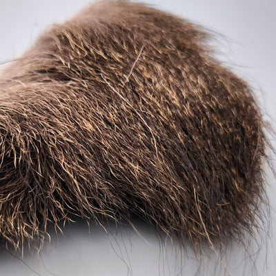 Pelo_di_Camoscio_Muta_estiva