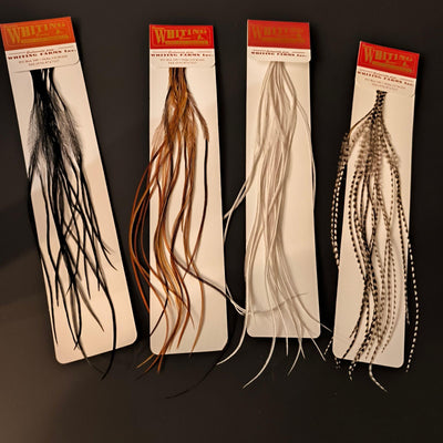 saddle_hackles_whiting_100_ack_16