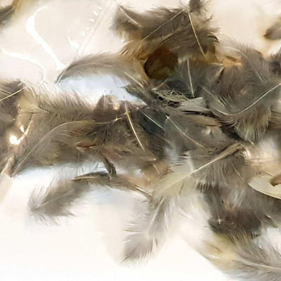 tordo_soft_hackle