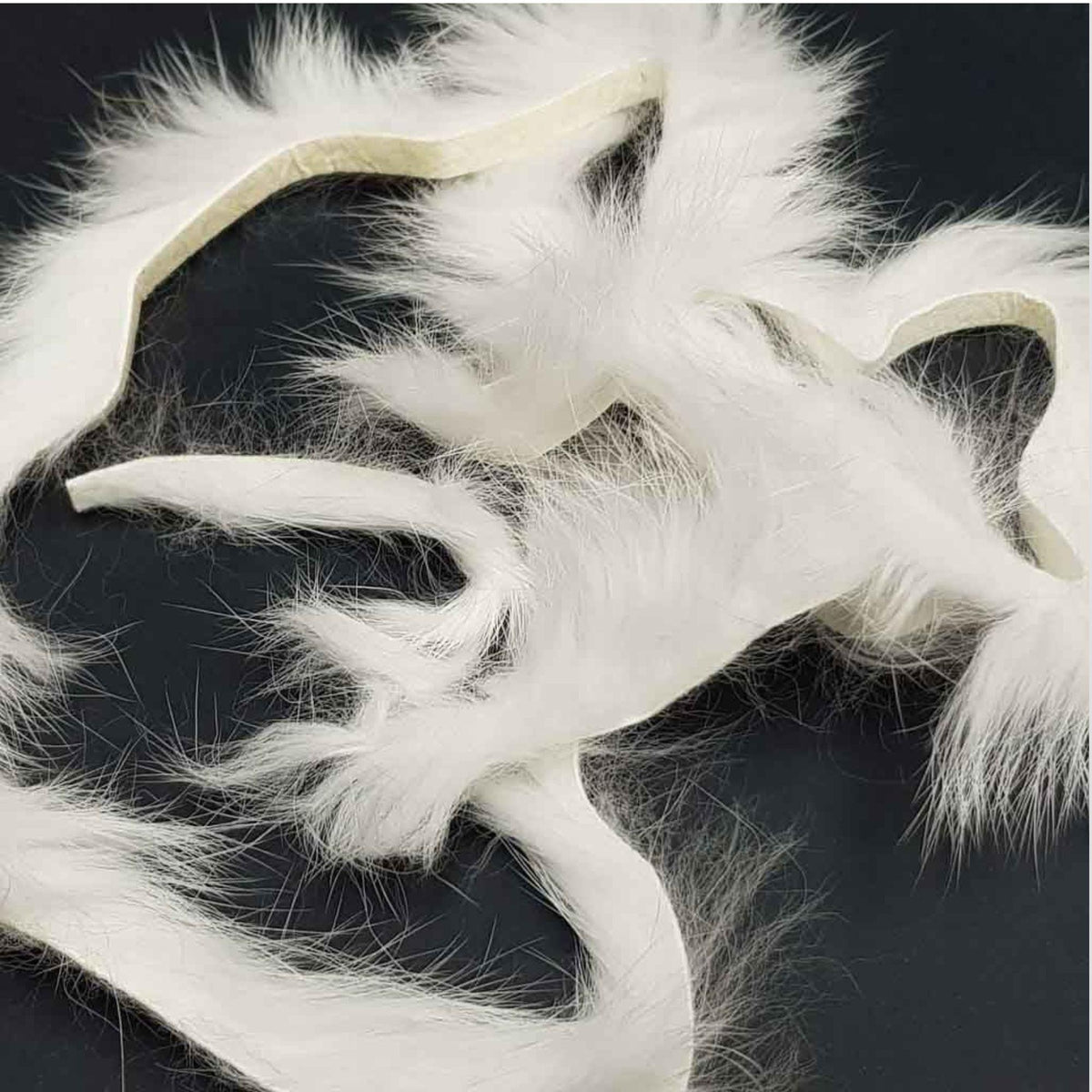Zonker_di_Coniglio