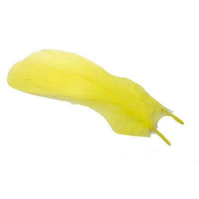 Piuma di Oca